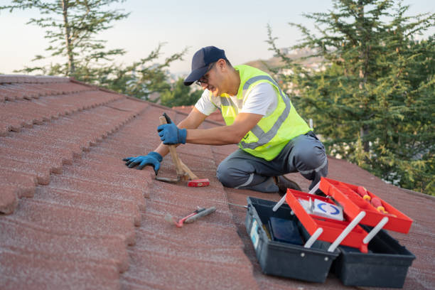 Best Roof Ventilation Installation  in USA